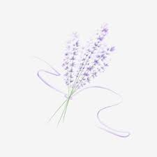Purple rose roses aesthetic cute tumblr blue rose. Hand Painted Watercolor Lavender Material Hand Painted Watercolor Lavender Png Transparent Clipart Image And Psd File For Free Download Lavender Aesthetic Paint Splash Background Purple Flower Bouquet