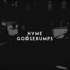 Goose bumps, also called goose pimples, goose flesh, chill bumps, chicken skin, people bumps, or the medical term cutis the theme of goosebumps is to get you scared and give you goosebumps. Hvme Goosebumps Lyrics Meaning Lyreka