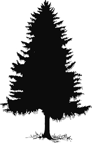 Pine Tree Tree Silhouette And Clip Art On 2 Pine Tree Silhouette Silhouette Clip Art Tree Silhouette
