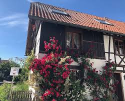 Die gemütliche ferienunterkunft in kesswil am bodensee, nur 50 meter vom see entfernt. Haus Schneider In Immenstaad Am Bodensee Bodenseeferien De