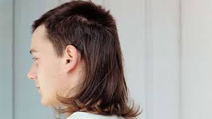 Mullet - fryzura męska na czeskiego piłkarza