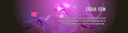 1306/1883/2016, care restrictionau accesul unor copii cu boli genetice grave la asistenta completa si se incadreaza in gradul de handicap grav, ceea ce implica dreptul la insotitor permanent. Criteriile De Incadrare In Grad De Handicap Au Fost Schimbate