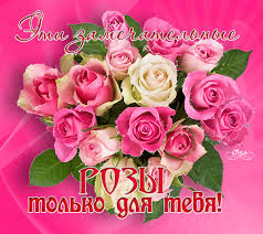 Похожее изображение
