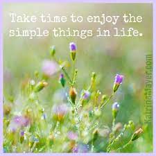 Personally, one of the biggest reasons why i love quotes is because of how relatable they can be. Take Time To Enjoy The Simple Things In Life Quotes Take Time To Enjoy The Simple Things In Lie Good Advice Dogtrainingobedienceschool Com