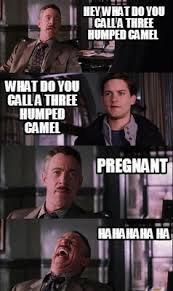 The correct answer is a pregnant camel. Meme Creator Funny Hey What Do You Call A Three Humped Camel What Do You Call A Three Humped Camel Meme Generator At Memecreator Org