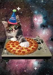 21 Cat Birthday Memes That Are Absolutely Purrrrfect Funny Gallery In 2021 Happy Birthday Cat Cat Birthday Memes Happy Birthday Animals Funny