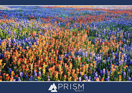 Maybe you would like to learn more about one of these? Where To Admire Spring In Full Bloom In Central Texas Prismrp Real Estate Brokerage