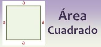 €16.00m * may 26, 1988 in necoclí, colombia Area De Un Cuadrado