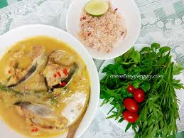 Dari dapur 19 march 2019. Ikan Patin Temerloh Masak Tempoyak