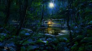 Youtube analytical history for azmi21. Secret Place In Jungle Kishore Ghosh Secret Places Scenery Artwork