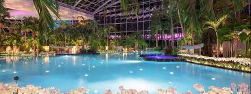 Das palmenparadies in der thermen & badewelt sinsheim bietet eine ausgiebige wellnesslandschaft. Thermen Badewelt Sinsheim Schwimmen Wellness