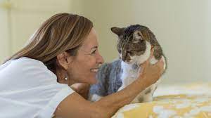 Nov 23, 2016 · by appointment. Coronavirus Covid 19 Faq The Humane Society Of The United States