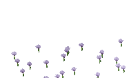 The best gifs are on giphy. Flower Tumblr Background Gifs Tenor