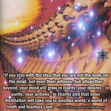 Spiritual awakening is often treated as a destination or a reward given to those who religiously meditate and constantly work to relinquish toxic thoughts and emotions. Know Thyself Quote Spiritual Awakening Quotes Awakening Quotes Spiritual Wisdom