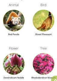 Sikkim wildlife can be witnessed in these 8 national parks as well as sanctuaries. Sikkim National Bird In Hindi