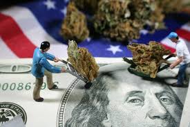 Dec 30, 2020 · what to be aware of with moneygram. How Many Grams Are In A Quad Of Weed Weedadvisorguide