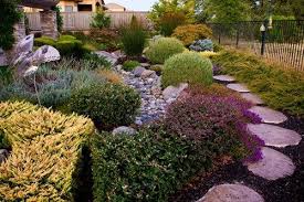 Plants For Landscaping Landscaping Network Drought Resistant Landscaping Drought Tolerant Landscape Backyard Garden Design