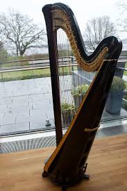 Alat musik ini merupakan jenis alat musik tiup yang dibuat dari bambu dan mengeluarkan bunyi jenis aerofon. Harpa Alat Musik Instrumen Foto Gratis Di Pixabay