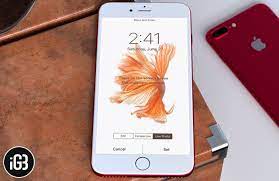 How To Get Back Live Fish Wallpapers In Ios 11 On Iphone Koi Iphone Wallpapers Top Free Koi Iphone Backgr Live Fish Wallpaper Fish Wallpaper Iphone Wallpaper