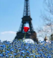 صور في الوقت المناسب و الزاوية المناسبة فن صورة 4 How To Take Photos Photo Eiffel Tower