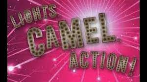 Learn how to tango by following the innkeepers' tango routine from the out of the ark nativity, 'lights, camel, action!' Lights Camel Action Youtube