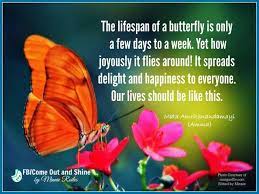 The Lifespan Of A Butterfly Mother Nature Quotes Butterfly Quotes Nature Quotes