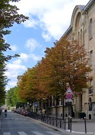To play casino for free through games in demo version is a very good option for new players, but will keep you entertained for casino avenue pierre brossolette troyes a long time, since it casino avenue pierre brossolette troyes can not, in demo. Rue Pierre Brossolette Wikidata