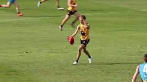 2023 AFL Draft player highlights: Lance Collard