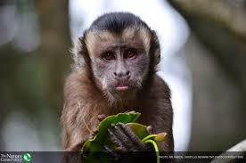 美图| 源于大自然的心动时刻