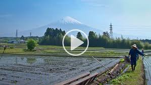 Mt Fuji Eco Village Connects To A Greener World Our World