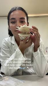 Pov You Chose Biology