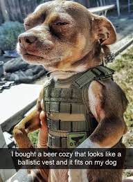 Thank You For Your Service Funny Dog Memes Funny Dogs Funny Animals