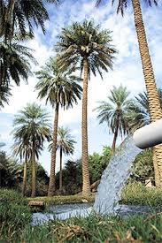 معرض بيبي سيتي بالأحساء مقابل بوابة العثيم Baby City Al Ahssa Near Othaim الصفحة الرئيسية فيسبوك