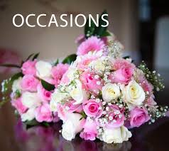 Search through the results in all ads advertised in durban on junk mail. Howdens Florist Durban S No 1 Flower Shop