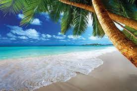 Sandstrand Mit Palmen Und Meer Fototapete Paradies Wandbild Xxl Beach Wanddeko 140 X 100 Cm Amazon Tropical Paradise Beach Beautiful Beaches Beach Wallpaper