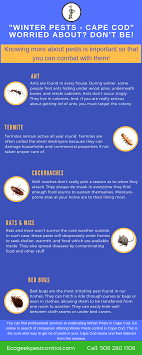 For all pest control services around cape town, contact via whatsapp 0789759597.i am registered pest control technician with department of agriculture contact me. Cold Weather Harmful Pests That Can Invade Your Home In Cape Cod