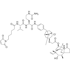 Image result for Retapamulin