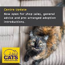 Cats Protection Ferndown Home Facebook