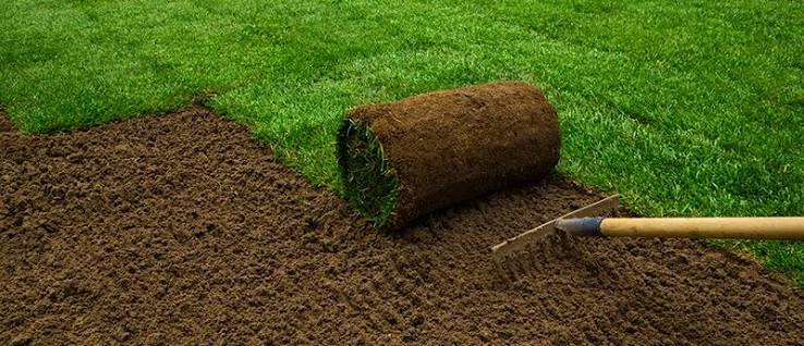 Sod replacement on damaged lawn sections