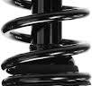 Rear Driver Side Strut w/Coil Spring