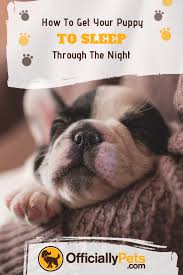 How To Get A Puppy To Sleep Through The Night Congrats On Your New Puppy It S An Exciting Time But Getti Getting A Puppy Training Your Puppy Puppy Training