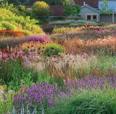 Piet Oudolf Landscape Designer Referral Muka Artribute Life And Art Diaism Acquire Understanding Attais Landscape Design Garden Inspiration Prairie Garden