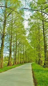  Arya Putra Suryasahputra226 Profil Pinterest