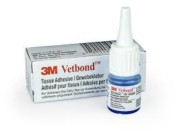 Image result for Tissue Adhesive