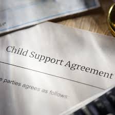 The nmsn requires the employer to obtain the necessary health insurance on behalf of the noncustodial parent's dependent children. Opinion Child Support Vs Deadbeat States The New York Times