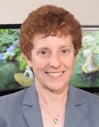 About Ginsberg Law Offices