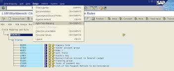 Lsmw For Functional Consultants In Simple Step By Step Way Sap Blogs