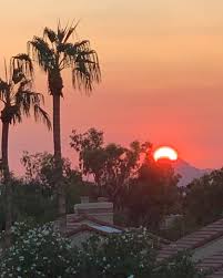 ScottsdaleLives April Halstead (@scottsdale_lives) • Instagram photos and  videos