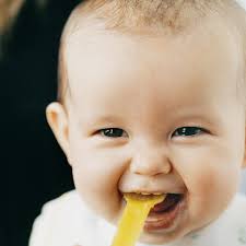 Worauf sollte ich achten, wenn ich lachs für babybrei kaufe? Erste Nahrungsaufnahme Mit Dem Loffel Elternwissen Com