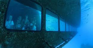 Semi Submarine Seawolf Reefking